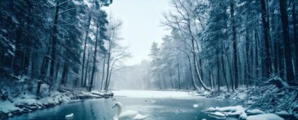Swan Lake